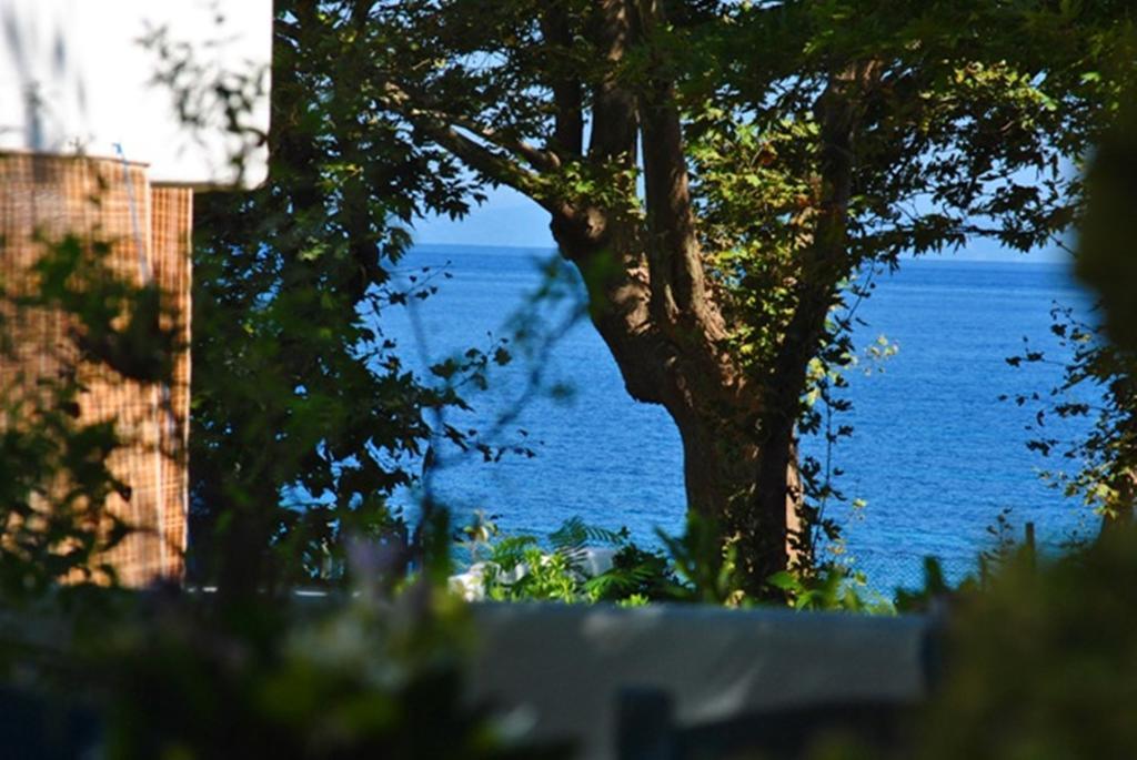 Archondissa Beach Aparthotel Therma  Exterior photo