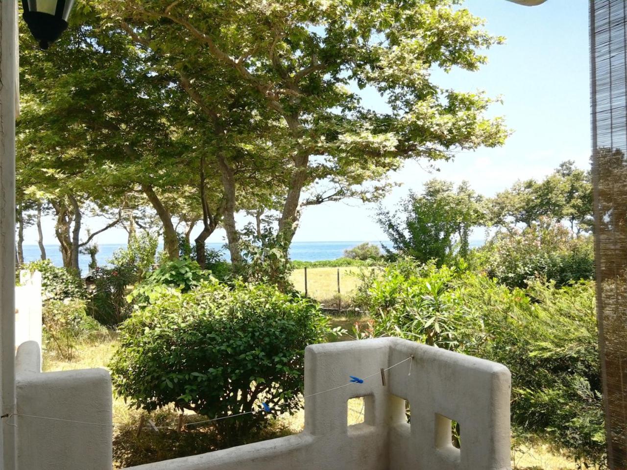 Archondissa Beach Aparthotel Therma  Exterior photo